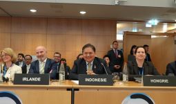 Menko Airlangga Sampaikan 3 Isu Penting Saat Berbicara di OECD - JPNN.com