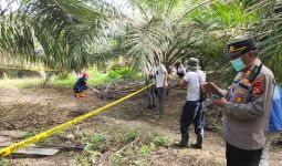 Penemuan Kerangka Manusia di Kebun Sawit Musi Banyuasin Hebohkan Warga - JPNN.com