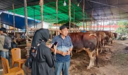 Penjual Hewan Kurban di Palembang Mulai Banjir Pesanan - JPNN.com