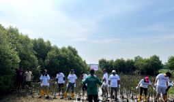 Rayakan Hari Keanekaragaman Hayati, PT Aplus Pacific Tanam 1.000 Mangrove - JPNN.com