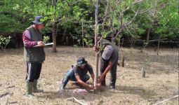 YKAN Turut Lestarikan Sumber Air & Mata Pencaharian Lewat Restorasi Mangrove Berbasis Masyarakat - JPNN.com