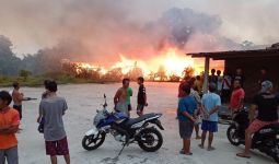 45 Ribu Ayam Terbakar Bersama Kandang, Pemilik Rugi Rp 5 Miliar - JPNN.com