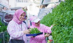 Kelompok Dasawisma Pisang di Palembang Sulap TPS Liar Jadi Urban Farming lewat BRI Peduli-BRInita - JPNN.com