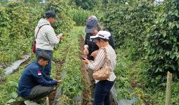 Begini Langkah Ditjen Hortikultura untuk Menyukseskan Program HDDAP di Pakpak Bharat - JPNN.com