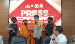 Bos Penyelundupan Penyu di Jembrana Masih Diburu Polisi - JPNN.com