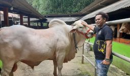 Jokowi Beli Sapi Milik Polisi di Bantul, Harganya Wow - JPNN.com