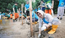 Weda Bay Project Tanam Satu Juta Mangrove di Maluku Utara - JPNN.com