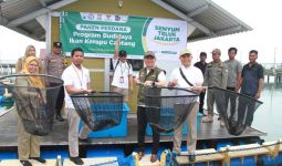 Baznas Bazis DKI Panen Ikan Kerapu Centang di Pulau Tidung, Sebegini Jumlahnya - JPNN.com