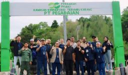 Menuju Net Zero Emission, Pegadaian Lakukan Konservasi Terumbu Karang di Sabang - JPNN.com