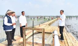 Presiden Jokowi Nilai Program Pompanisasi untuk Antisipasi Kekeringan Panjang - JPNN.com