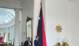 Indonesia Pasok Listrik ke Papua Nugini, Sudah Bisa Dinikmati - JPNN.com