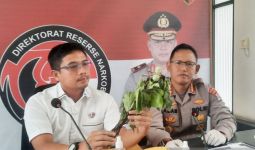 Hasil Uji Labfor Mabes Polri terhadap Kecubung, Wah, Bahaya Juga - JPNN.com