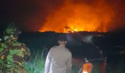 10 Hektare Lahan Terbakar di Ogan Hilir, Begini Kondisinya - JPNN.com