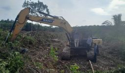 Polda Riau Bekuk Perambah Hutan di Bukit Rimbang Baling - JPNN.com