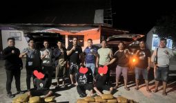 55 Kilogram Ganja Asal Panyabungan Madina Gagal Beredar di Sumbar - JPNN.com