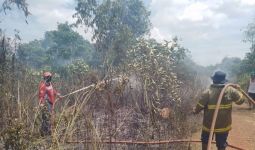 Satu Hektare Lahan Kering di Belitung Terbakar - JPNN.com