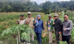 Tak Kenal Waktu Libur, Kepala BPPSDMP Temukan Solusi Perluasan Areal Tanam di Barito Kuala - JPNN.com