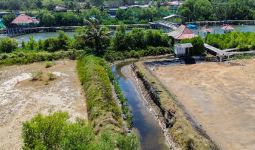 Menyambut HUT RI, PT Bigga Damai Utama Tanam 1.000 Bibit Mangrove di Pantai Pasir Kadilangu - JPNN.com