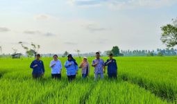 Tingkatkan Produksi Padi, Kementan Berikan 153 Pompa Air ke Kabupaten Bengkulu Selatan - JPNN.com