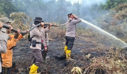 Tim Gabungan Masih Berjibaku Memadamkan Karhutla di Pulau Galang Inhu - JPNN.com