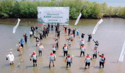 PTK Tanam 5.500 Bibit Mangrove & Resmikan Rumah Pembibitan di Bali untuk Lindungi Lingkungan Pesisir - JPNN.com