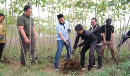 TKN Fanta Adakan Panen Raya Singkong Bersama Petani Pelajar - JPNN.com