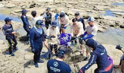 Dorong Kesejahteraan di Pesisir, PNM Peduli Tanam Ribuan Mangrove dan Terumbu Karang - JPNN.com