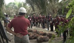 Siapkan SDM Berkualitas, BPDPKS Gelar Pelatihan untuk Petani Kelapa Sawit - JPNN.com