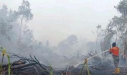 Luas Lahan yang Terbakar di Sungai Rotan Muara Enim Mencapai 53 Hektare - JPNN.com