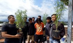 Membudidayakan Ganja di Atap Rumah, 2 Remaja Ditangkap Polresta Mataram - JPNN.com