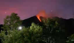 BPBD Jateng Ungkap Penyebab Gunung Telomoyo Terbakar, Ternyata - JPNN.com