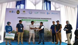 Realisasikan TJSL, Pelindo Gelar Kick Off Rehabilitasi Mangrove 2024 - JPNN.com