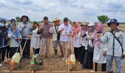 Pacu PAT, Kementan Bersama Pemkab Tanah Laut Menggerakkan Tanam Serentak - JPNN.com