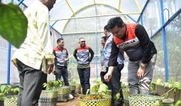 Pertamina Patra Niaga SHAFTHI Luncurkan Greenhouse Sirih - JPNN.com