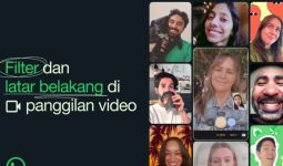 WhatsApp Rilis 2 Fitur Baru, Video Call Makin Menarik - JPNN.com