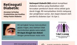 Kolaborasi Diperlukan untuk Tanggulangi Retinopati Diabetika Diabetes - JPNN.com