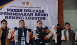 Bea Cukai Gagalkan Penyelundupan Ratusan Ribu Benih Lobster Tujuan Malaysia - JPNN.com