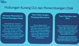 Asupan Gizi Cukup Cegah Anak Kurangi Risiko Working Memory Rendah - JPNN.com