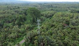 PLN UIP MPA Bangun 577 Tower Transmisi 150 kV, Tambah Pasokan Listrik di Halmahera - JPNN.com