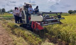 PAT Sukses, Kementan dan Pemkab Batola Memanen Padi Bersama - JPNN.com