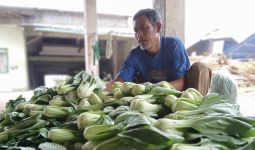 Petani Kecil Mulai Rasakan Efek Gerakan Boikot Restoran Waralaba yang Dianggap Terafiliasi Israel - JPNN.com