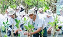 Tanam Mangrove di PIK & Kedonganan, B. Braun Indonesia Rogoh Kocek Ratusan Juta Rupiah - JPNN.com