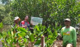 Lestarikan Bangau Bluwok, Pertamina Patra Niaga Regional JBB Tanam 3.750 Mangrove di Pulau Rambut - JPNN.com