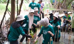 Peringati Hari Pohon Sedunia, MSGLOW Beauty Tanam Mangrove di PIK  - JPNN.com