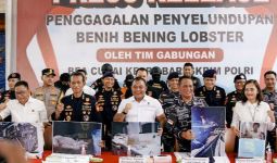 Bareskrim Gagalkan Penyelundupan 151 Ribu Benih Lobster di Bintan - JPNN.com