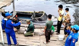 Buaya Muara 2,5 Meter di Pulau Hanaut Dievakuasi BKSDA Sampit - JPNN.com