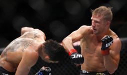 Inilah Deretan Petarung UFC yang Kariernya Berhenti Akibat Cedera, Ada TJ Dillashaw - JPNN.com