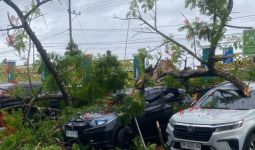 Kendaraan-Kendaraan Tertimpa Pohon Tumbang Akibat Cuaca Ekstrem di Lombok Timur - JPNN.com