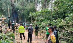 2 Bule Tewas, 3 WNA Luka-Luka Tertimpa Pohon Tumbang di Ubud - JPNN.com