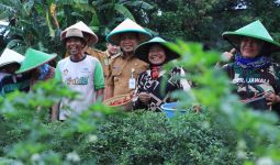 Gaungkan Urban Farming, Dr. Nurdin Berkomitmen Perkuat Ketahanan Pangan Jaga Inflasi - JPNN.com